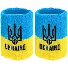 Спортивный напульсник
 впитывающий влагу UKRAINE BC-9282 1шт (Синий)