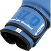Перчатки для бокса


 кожаные VELO

 VL-8187 (Черный)