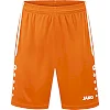 Спортивні шорти Allround JAKO 4499-350