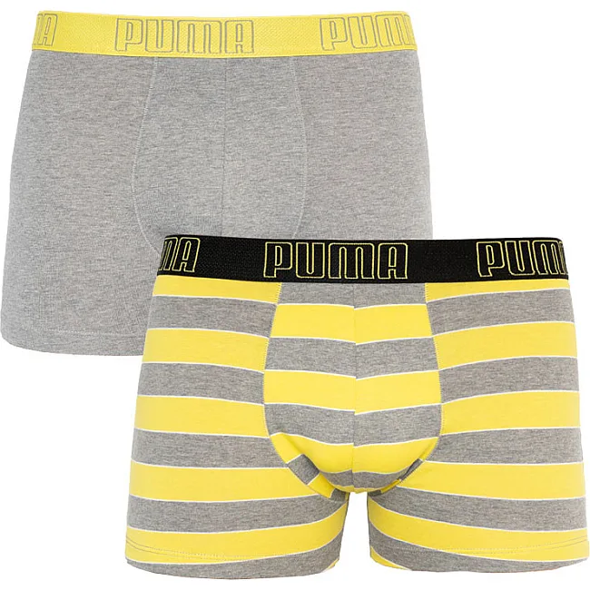 Трусы-боксеры PUMA YD BOLDTRIPE BOXER 2P мужские