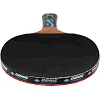Ракетка для настольного тенниса в чехле DONIC Legends Platinum MT-754432