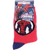 Шкарпетки SPIDER MAN BUSTE SPIDERMAN + ARAIGNEE дитячі, арт.43890147-5