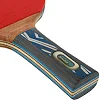 Ракетка для настольного тенниса в чехле DONIC Legends Platinum MT-754432