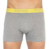 Трусы-боксеры PUMA YD BOLDTRIPE BOXER 2P мужские