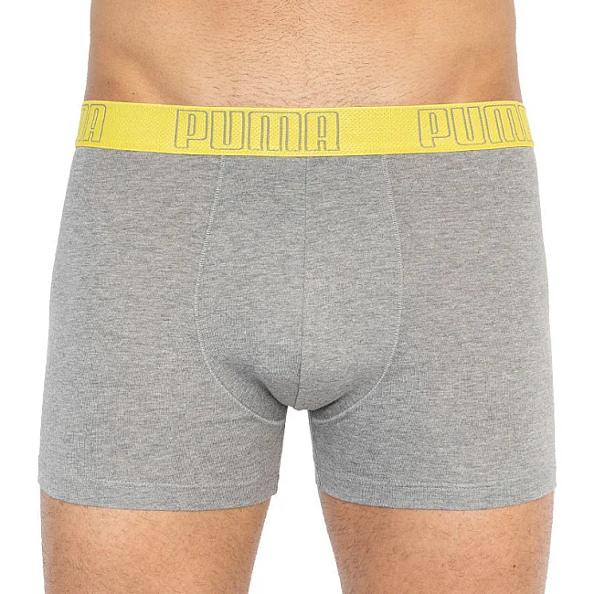 Трусы-боксеры PUMA YD BOLDTRIPE BOXER 2P мужские