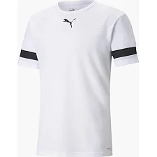 Футболка чоловіча Puma teamRISE Jersey білий L
