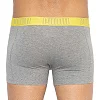 Трусы-боксеры PUMA YD BOLDTRIPE BOXER 2P мужские