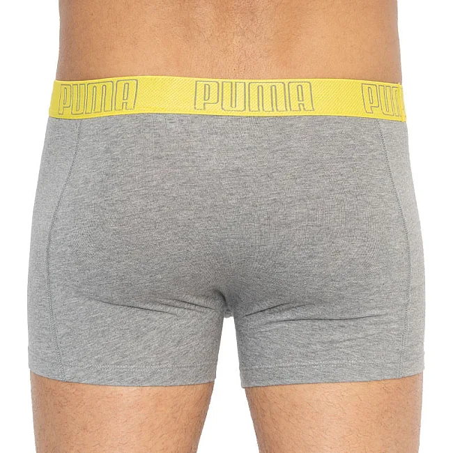 Трусы-боксеры PUMA YD BOLDTRIPE BOXER 2P мужские