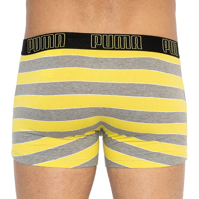 Трусы-боксеры PUMA YD BOLDTRIPE BOXER 2P мужские