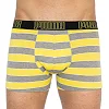 Трусы-боксеры PUMA YD BOLDTRIPE BOXER 2P мужские