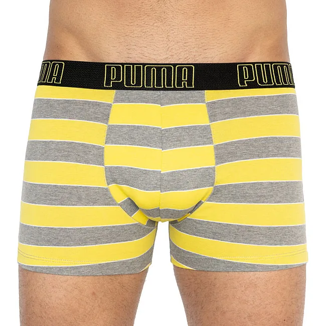 Трусы-боксеры PUMA YD BOLDTRIPE BOXER 2P мужские