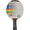 Ракетка для настольного тенниса в чехле DONIC Legends Platinum MT-754432