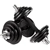 Гантелі розбірні у кейсі ZIPRO Cast Iron, 2 x 10 кг