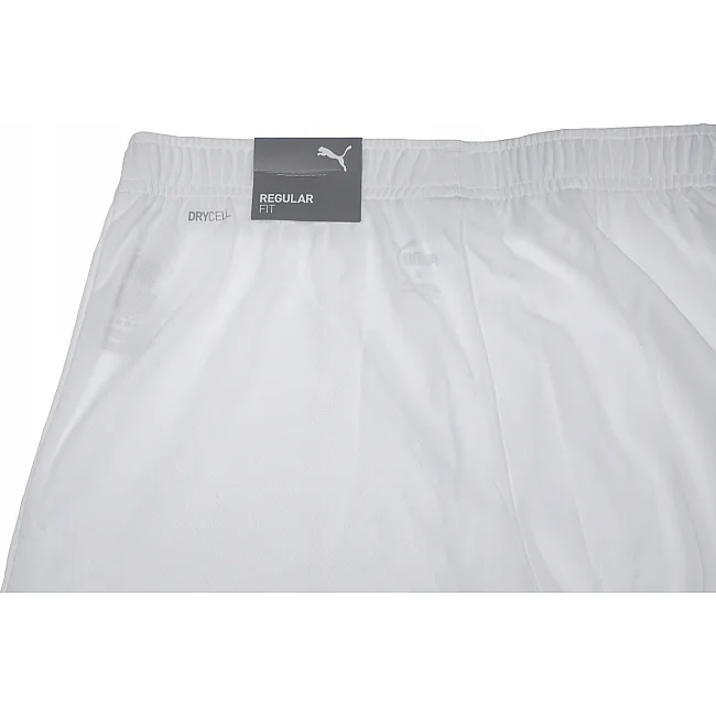 Спортивні шорти чоловічі Puma teamRISE Short білий