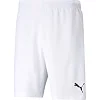 Спортивні шорти чоловічі Puma teamRISE Short білий
