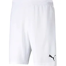 Спортивные мужские шорты Puma teamRISE Short белый