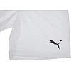 Спортивні шорти чоловічі Puma teamRISE Short білий