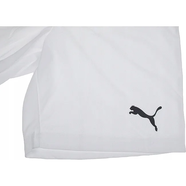 Спортивні шорти чоловічі Puma teamRISE Short білий