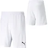 Спортивні шорти чоловічі Puma teamRISE Short білий
