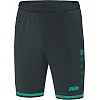 Спортивні шорти striker 2.0 c04 JAKO 4429-24