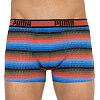 Трусы-шорты PUMA WORLDHOODTRIPE TRUNK 2P мужские