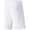 Спортивні шорти чоловічі Puma teamRISE Short білий