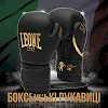 Боксерські рукавиці Leone GN059D Black/Gold (капу в комплекті)
