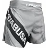 Шорти для кікбоксингу HAYABUSA Kick 2.0 - Grey