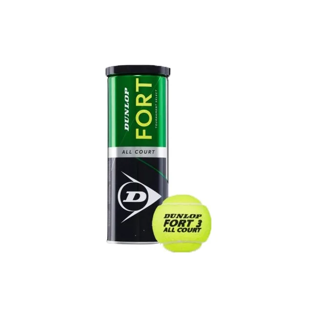 Мягкие для тенниса DUNLOP Fort TS 3B металл банка