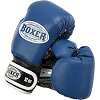 Рукавички для боксу


 шкіряні BOXER

 2023 10-12унцій (Чорний-білий)