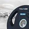 Диск олимпийский THUNDER 1,25 кг