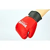 Дитячі (до 4 років) боксерські рукавички Boxer 2026