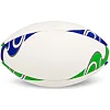 Регбийный мяч SOCCER STAR R-5342-4 (Белый-фиолетовый-салатовый)