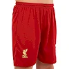 Футбольна форма дитяча із символікою клубу
 LIVERPOOL SALAH 11 домашня 2025 SP-SPORT

 CO-4618 20-30 (Червоно-білий)