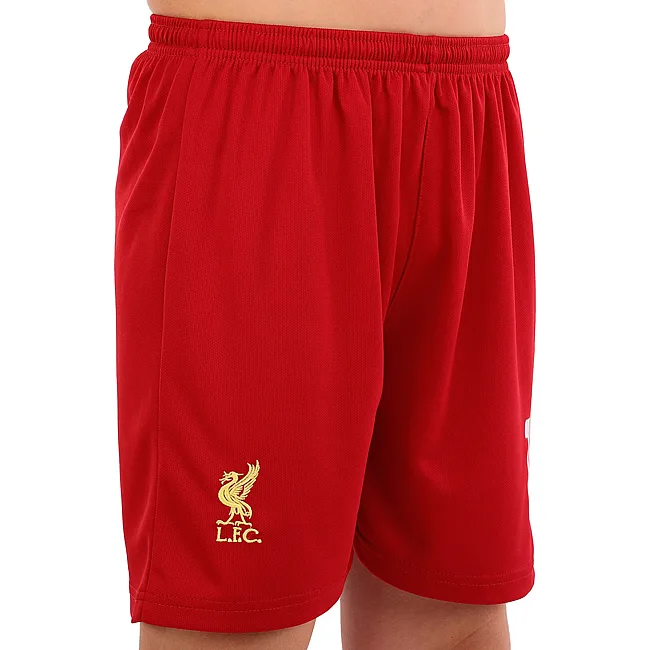 Футбольна форма дитяча із символікою клубу
 LIVERPOOL SALAH 11 домашня 2025 SP-SPORT

 CO-4618 20-30 (Червоно-білий)
