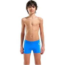 Плавки-шорты для мальчиков Arena LOGO SWIM SHORT голубой