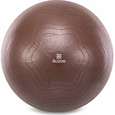 Фитбол мяч для фитнеса сатин BLOOM LB7051-65 ø65см (Коричневый)