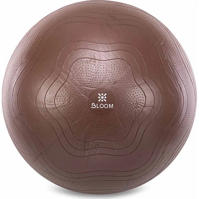 Фитбол мяч для фитнеса сатин BLOOM LB7051-65 ø65см (Коричневый)