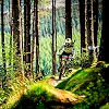 Покрышка на велосипед CONTINENTAL MudKing, 26"x2.30, 57-559, черная, не складная, BlackChili, Apex, Skin, 1100гр.