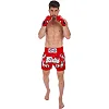 Шорти для кікбоксингу FAIRTEX BS0665