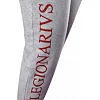 Спортивні штани Leone Legionarivs Fleece Grey