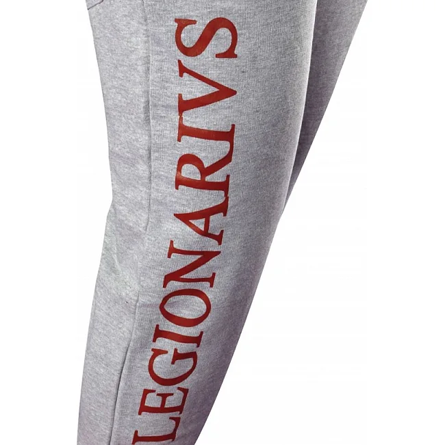 Спортивні штани Leone Legionarivs Fleece Grey