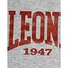 Спортивні штани Leone Legionarivs Fleece Grey