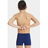 Плавки для мальчиков Arena TEAM SWIM SHORT SOLID синий, белый (для детей)