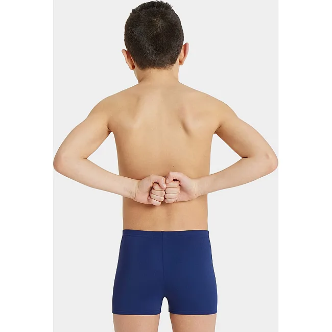 Плавки для мальчиков Arena TEAM SWIM SHORT SOLID синий, белый (для детей)