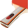 Набор для настольного тенниса WEINIXUN 2101-A