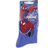 Шкарпетки SPIDER MAN SPIDERMAN DANS CERCLE дитячі арт 83899920-6