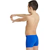 Плавки-шорты для мальчиков Arena TEAM SWIM SHORT SOLID синий
