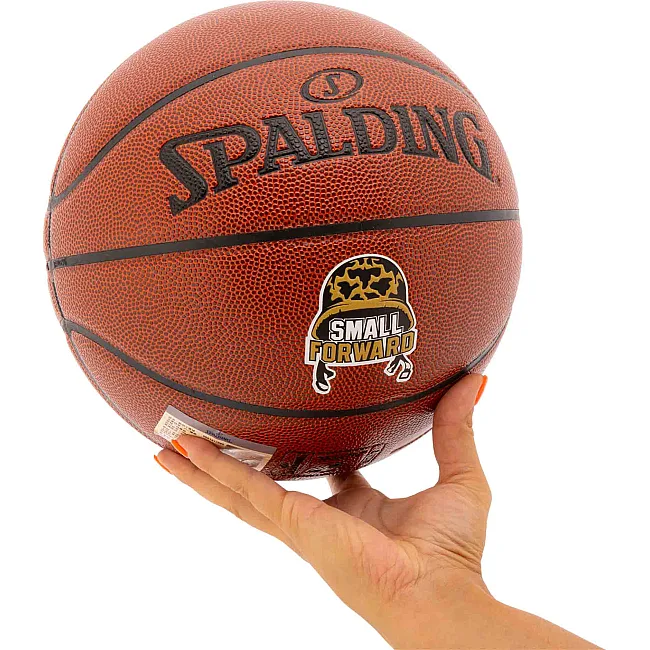 Баскетбольный мяч
 SPALDING SMALL FORWARD 76892Y
 7 (Коричневый)