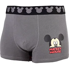 Трусы боксеры MICKEY ET DONALD TETE MICKEY мужские